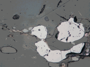 polished section